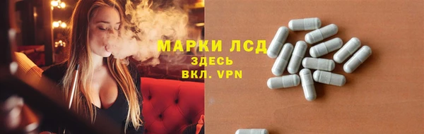 сатива Абинск
