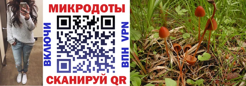 мега рабочий сайт  Апрелевка  Галлюциногенные грибы прущие грибы 